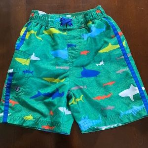 Shark swim trunks